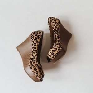 Express Calf-Hair Leopard Print Wedges size 6